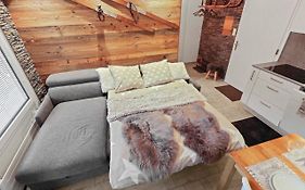 Appartement cozy de 2,5 pce en plein centre de Crans Montana